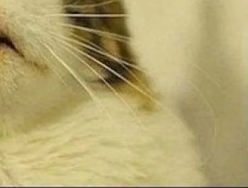 foo eu e namorada margin: 0px;